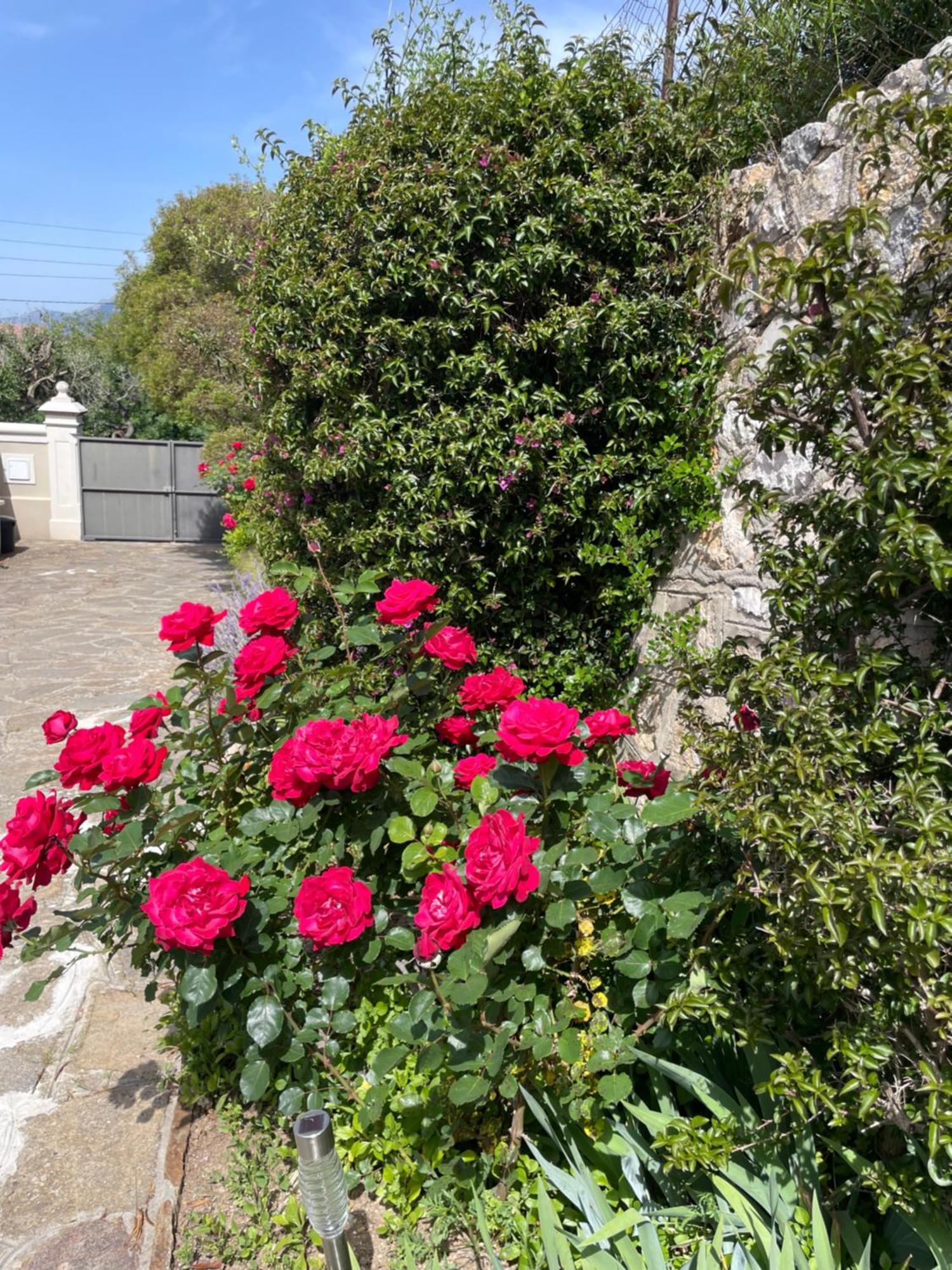 Appartement Les Trèfles à Hyères Extérieur photo